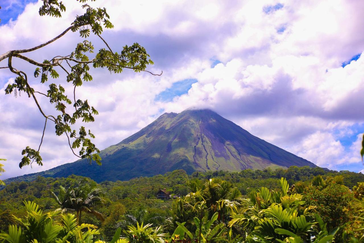 Superior Double Room Volcano View