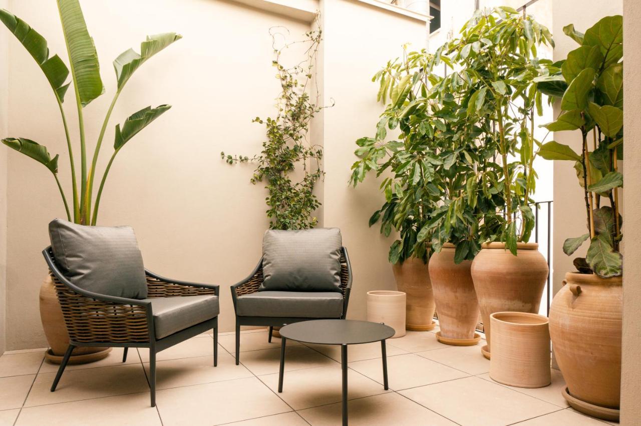 Suite Terrace