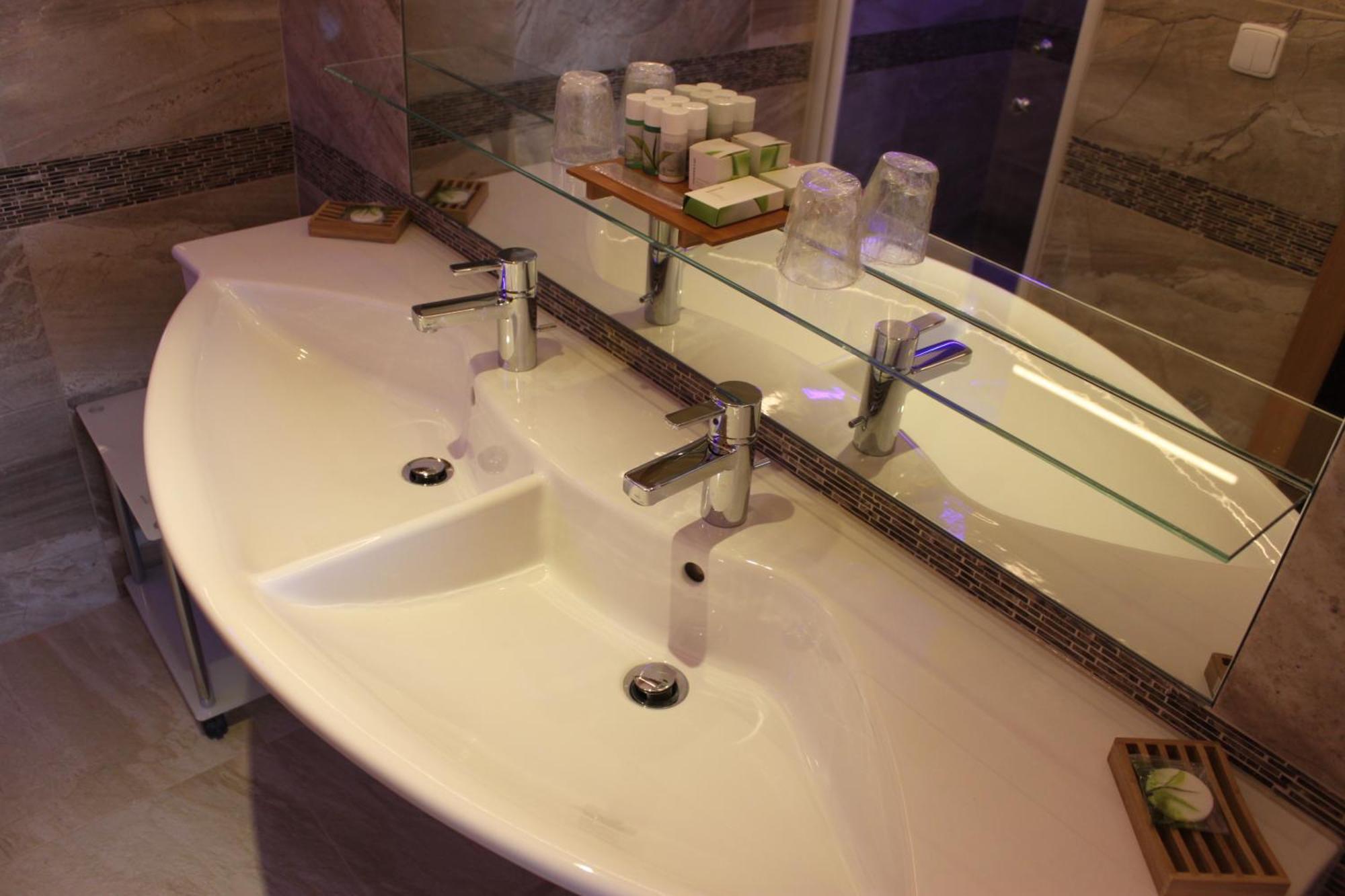 Deluxe Double Room Shower