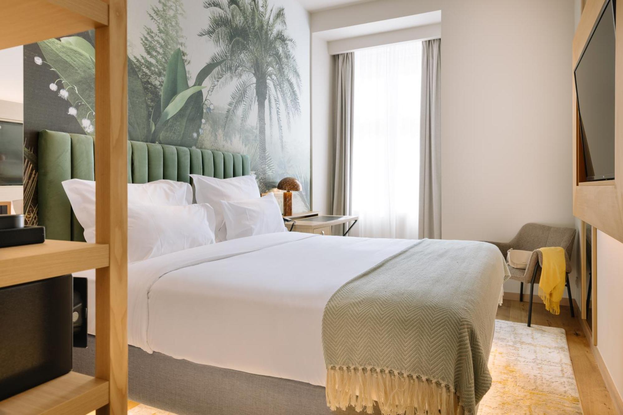 Suite Familiar (2 adultos + 1 niño)