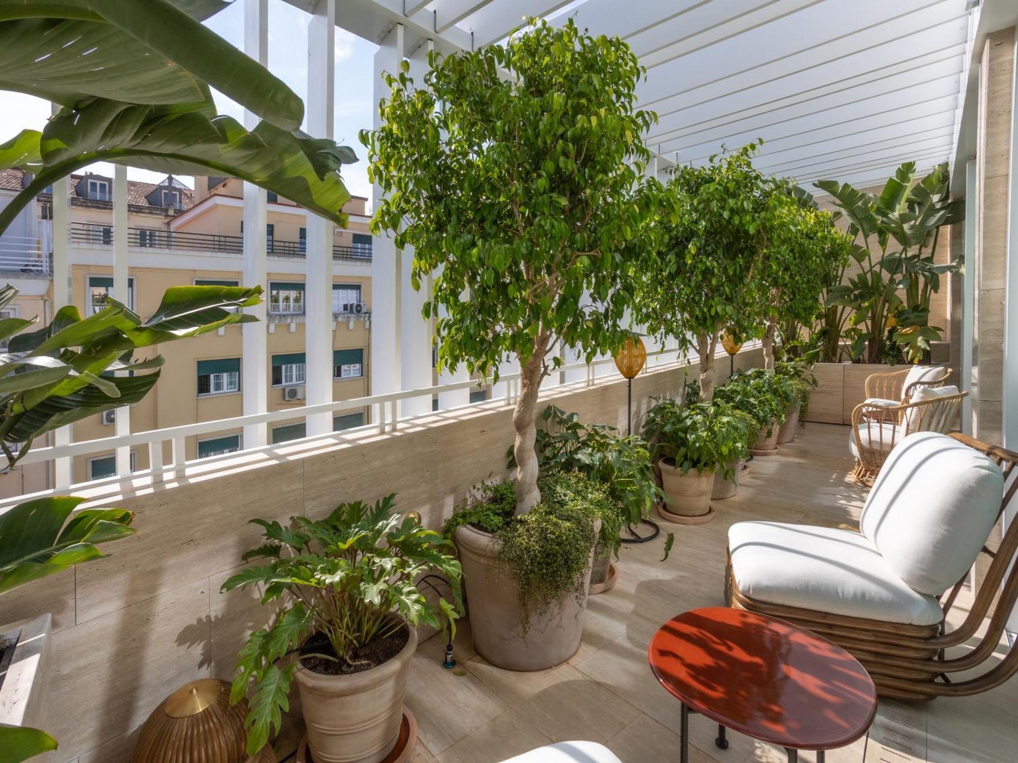 Contemporary Suite Balcony