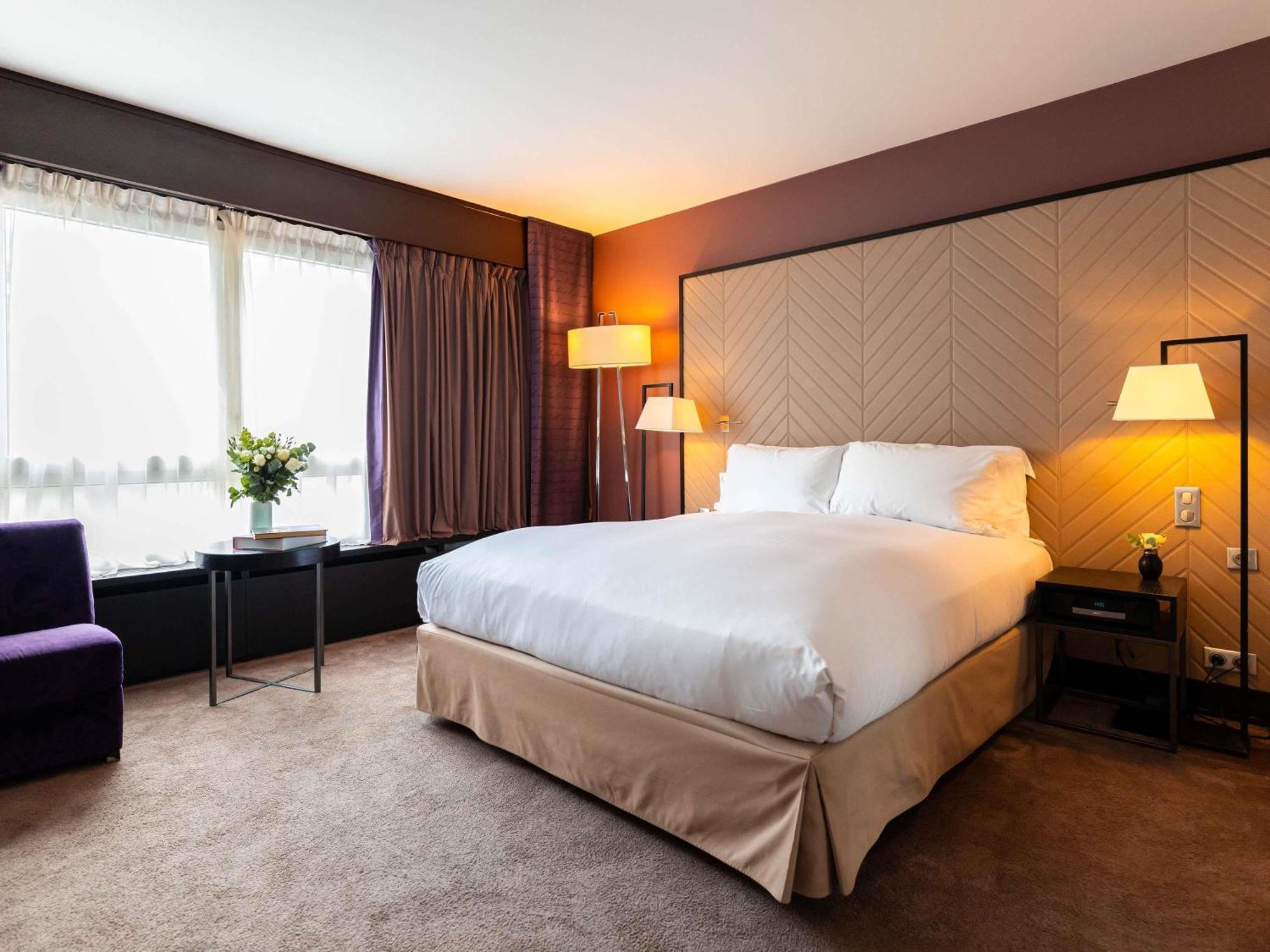 Accessible Luxury Room One King Bed View