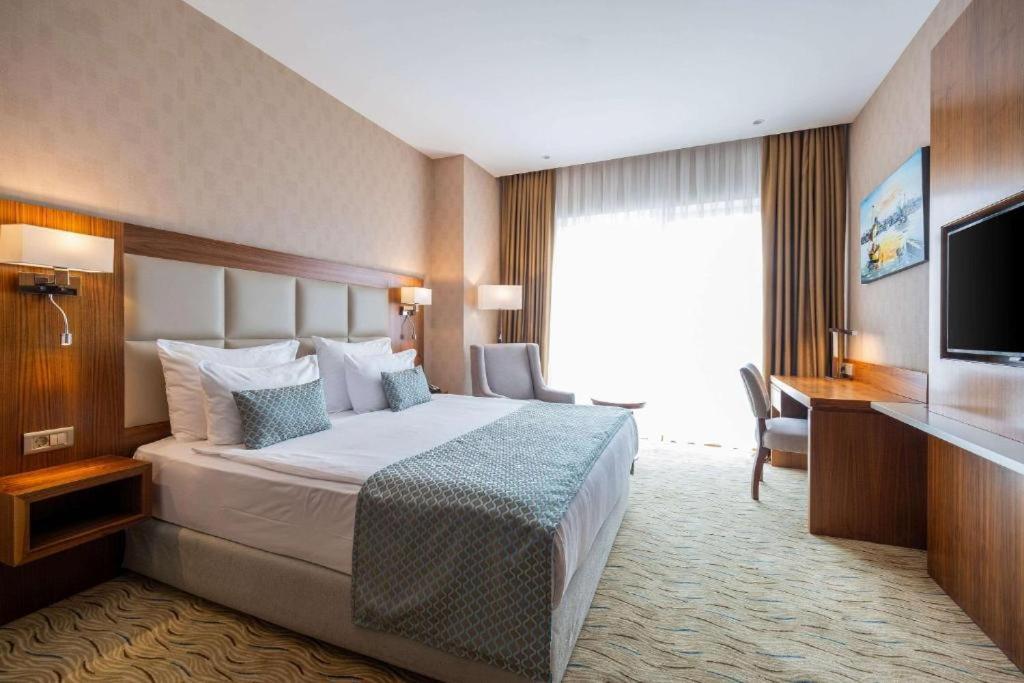 Standard Room One Double Bed One Sofa Bed Non-Smoking