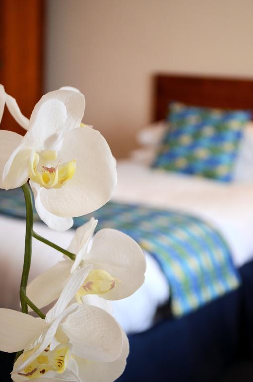 Superior Kamer met Kingsize Bed
