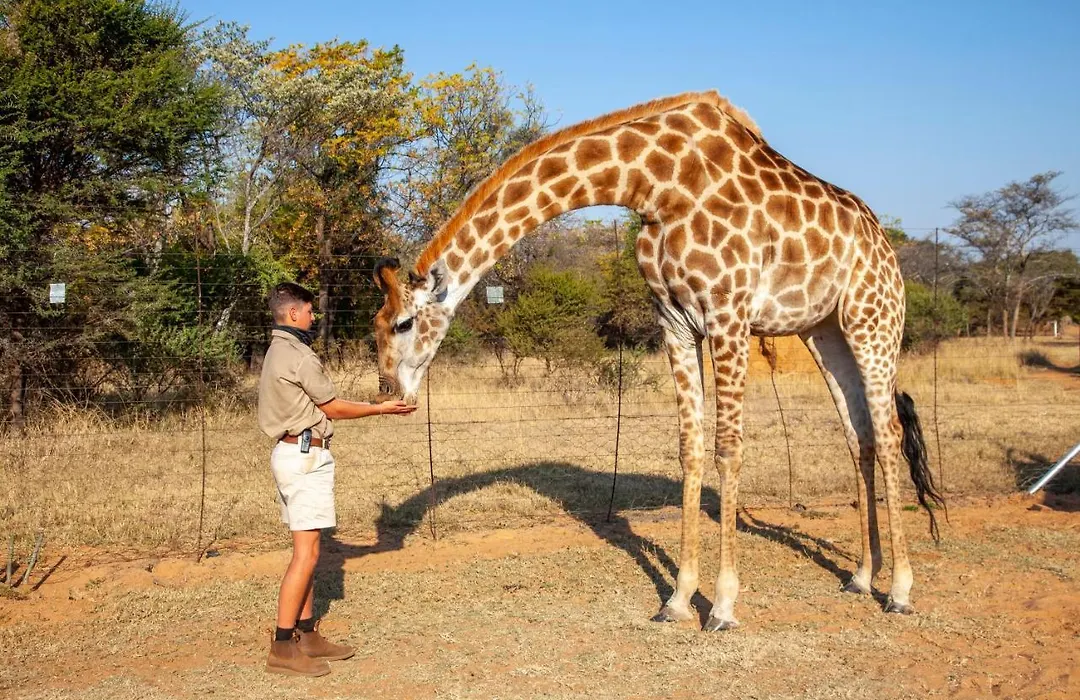 Sondela Nature Reserve & Spa Country House-1