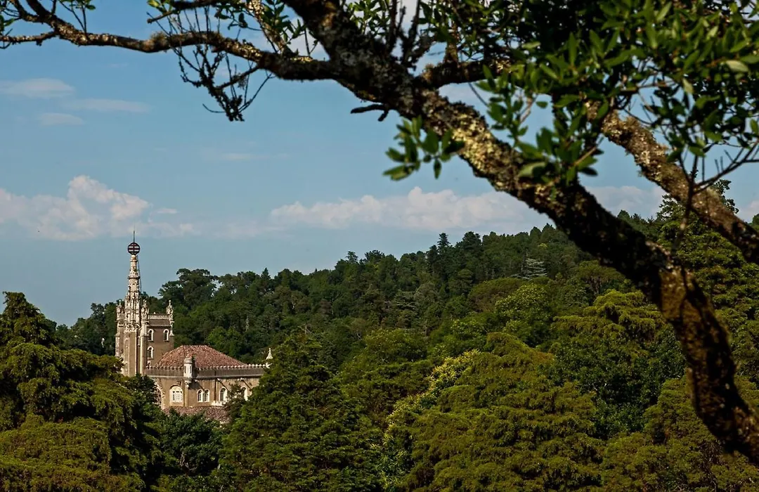 Palace Hotel Do Bussaco-1