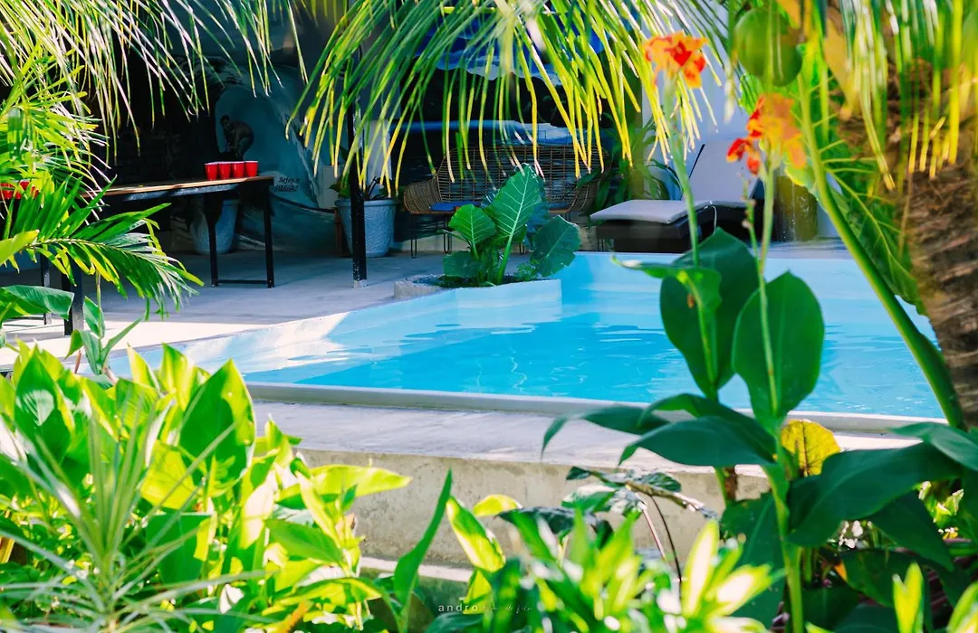 Ananas Guesthouse-1