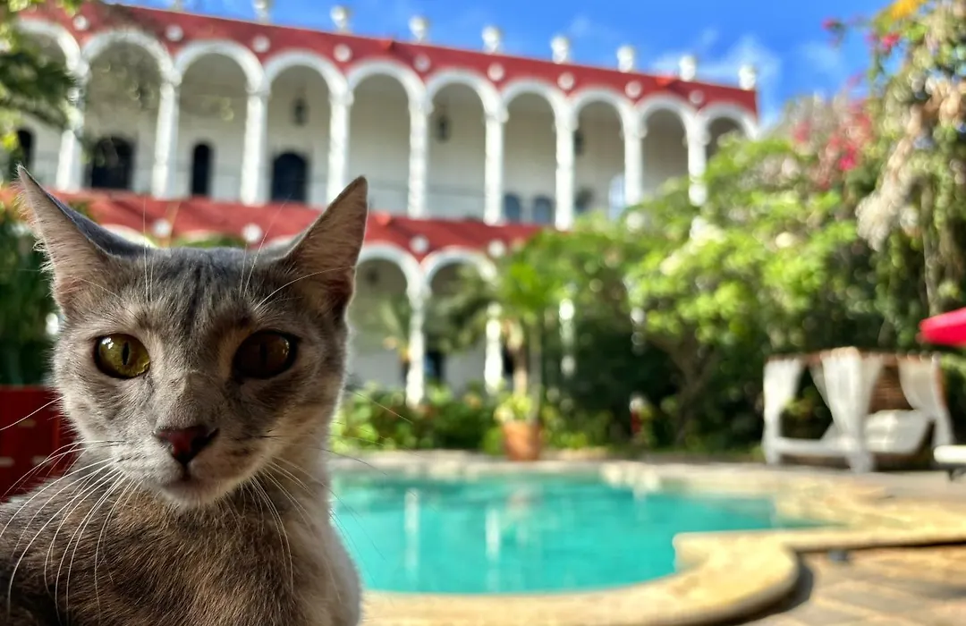 Villa Merida Luxury Mansion - Adults Only Boutique Hotel-1