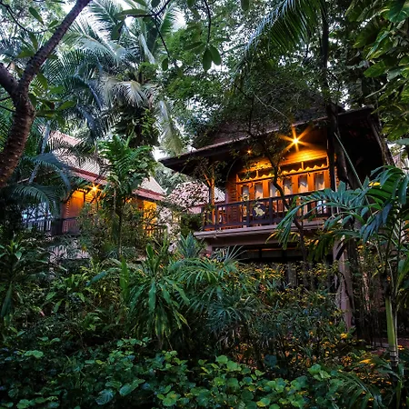 Rabbit Resort Pattaya-2