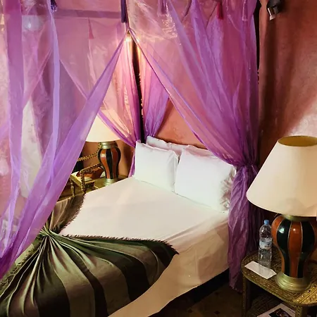 Riad Moullaoud-3