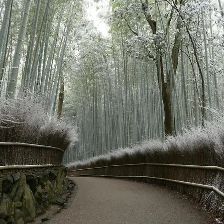 Eph Kyoto-2