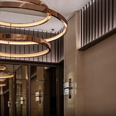 Hotel The Celestine Ginza-3