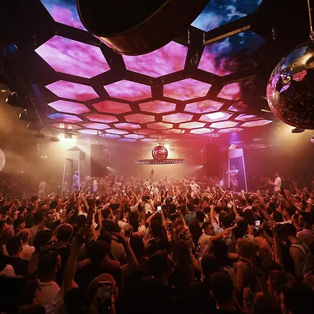 El Hotel Pacha-3