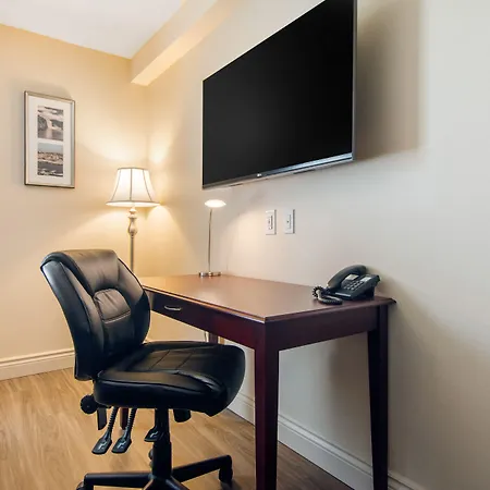 Comfort Inn & Suites-3