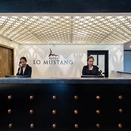 Hotel Lo Mustang-2