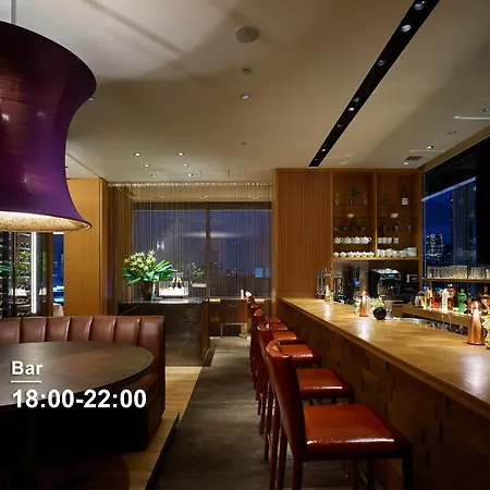 Hotel The Celestine Ginza-2