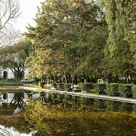 Casa Polanco Hotel Boutique-2