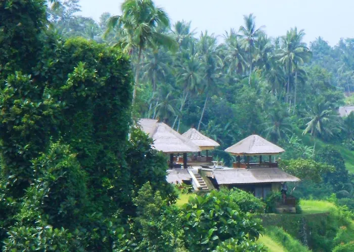 Santai
