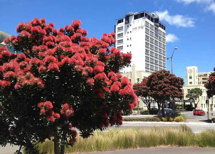 3 star hotels Bay Plaza