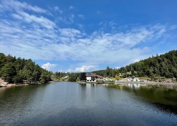 Am Wolfgrubenersee