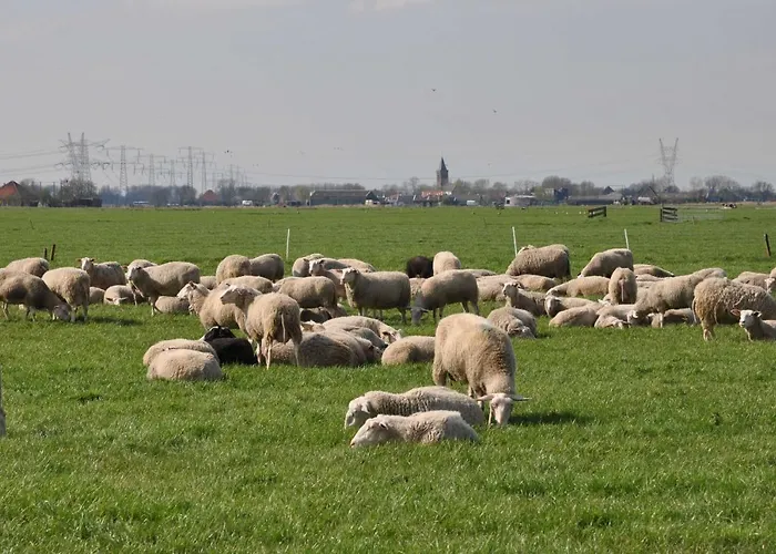 Hotel: Gypsy Waggon - A Villa On Wheels