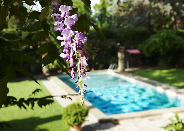 Hotel with pool: Park Palace Hotel