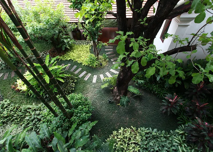  Rim Chiang Mai