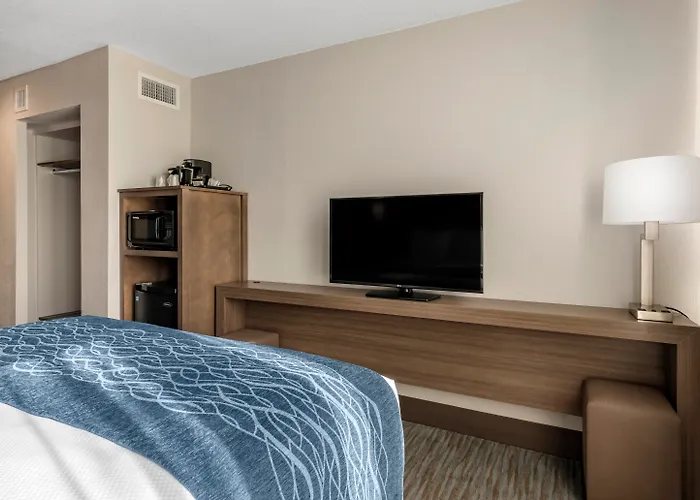 Motel: Comfort Inn & Suites Downtown Brickell-Port Of Miami