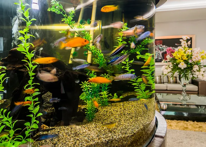 Hotel Egina Medellin