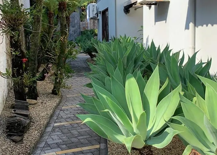 Pousada DRIRIOS HOUSE