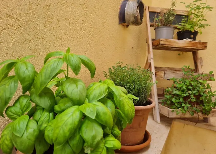 Albergo centrale: Il bacio del Sole