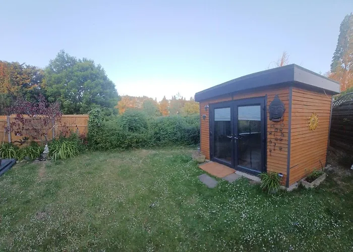 Dream View