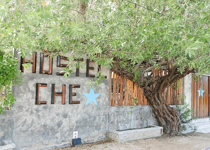 Hotel que admite mascotas: Che Holbox Hostel & Bar Adults Only