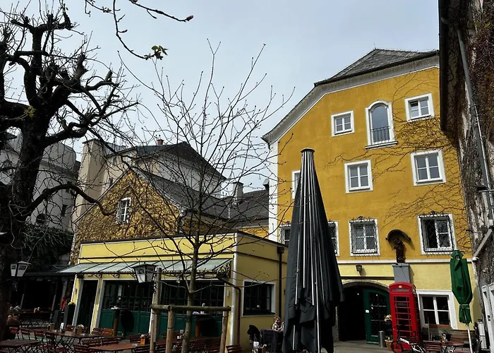 Hotel mit Hund Gösser Bräu