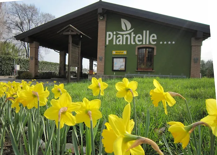  Camping Piantelle