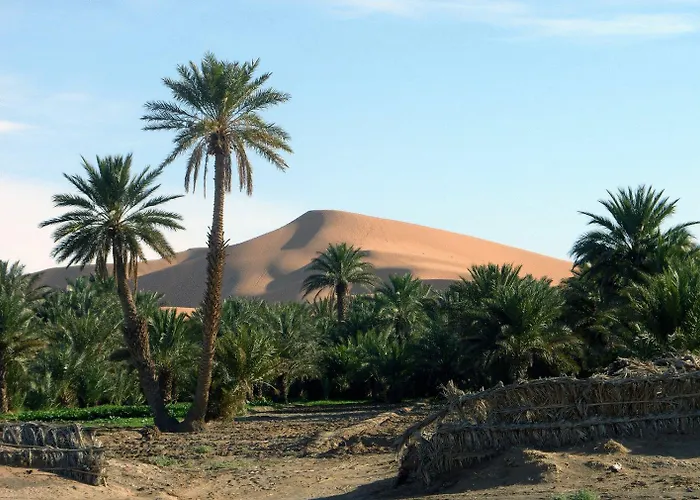 Hotel que admite mascotas: Hotel Riad Oasis