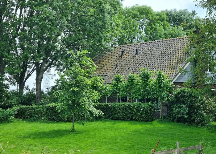 City Farmer Amsterdam A Guesthouse With Bikes, And Free Parking