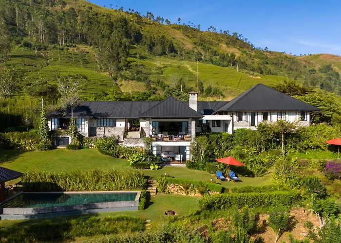 Camellia Hills