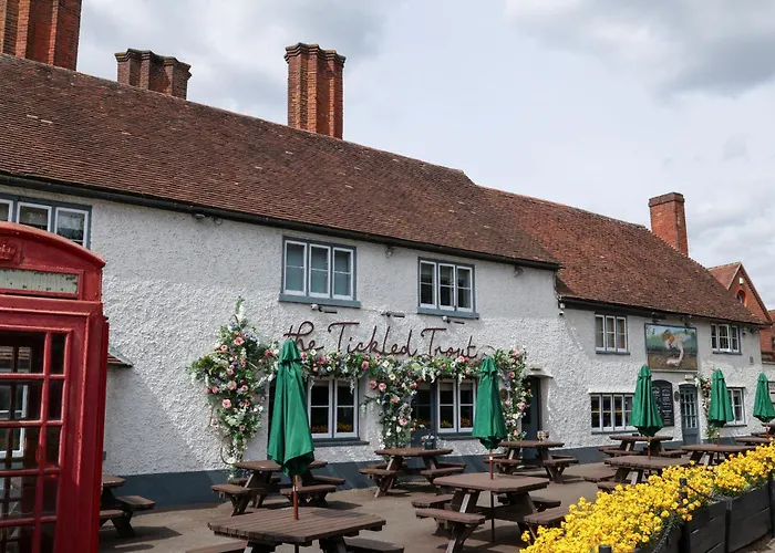 Hotels With Four Stars Tickled Trout