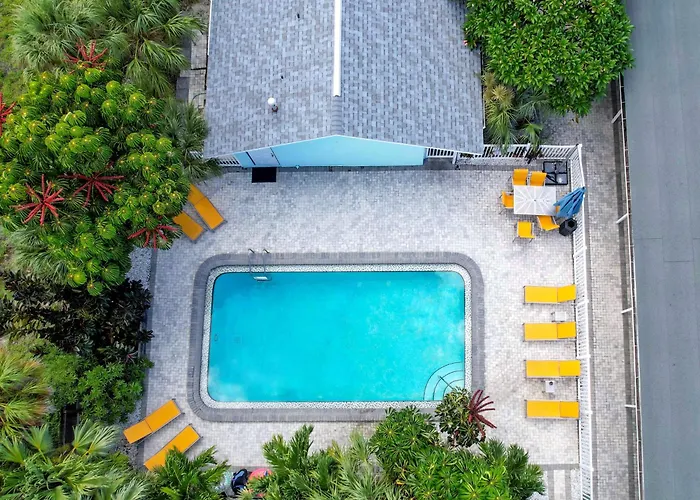 Pets Allowed Hotel Park Shore Suites St Pete Beach