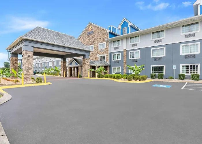 Spa Hotels Resorts Comfort Inn & Suites Nashville Near Tanger Outlets I-24 Antioch