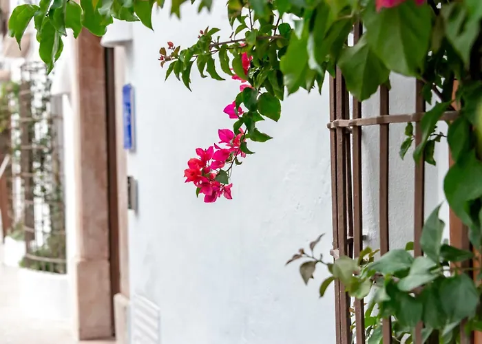 Maison Salva By Santas Hotels