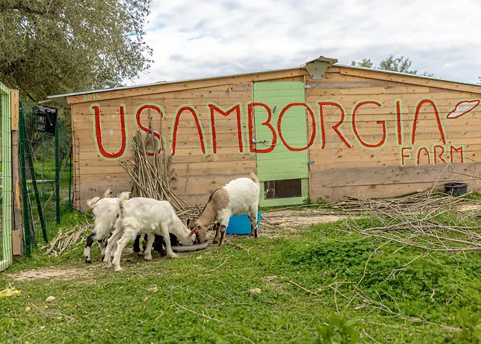 Masseria Usamborgia