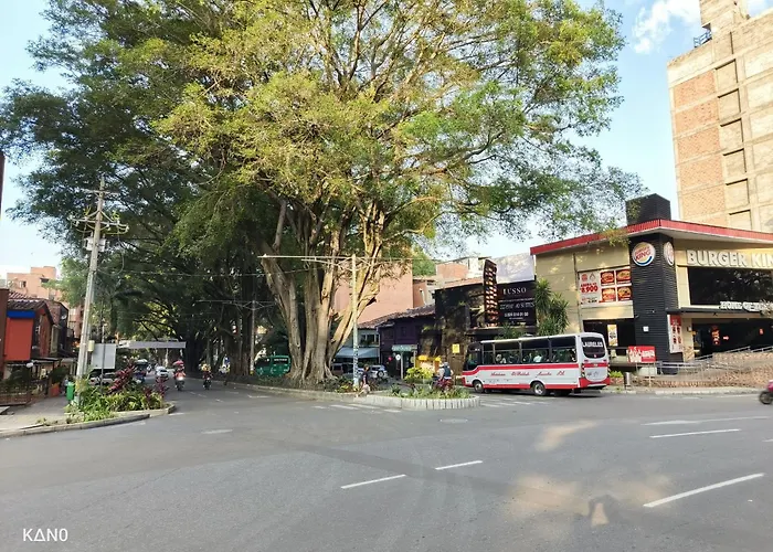  Kasa Cactus Laureles, Medellin