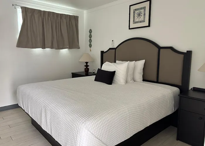 Pet Friendly hotel: Holiday Isles Resort