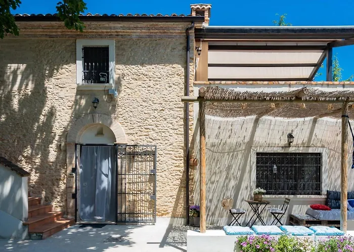 Il fico nel Pozzo