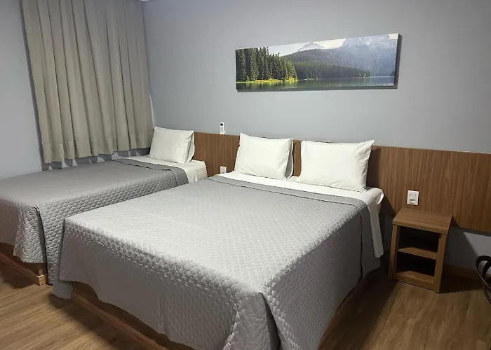 Hotel que aceita animais de estimação: Hotel Premier