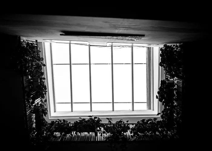 Hotel Palacio Alcazar