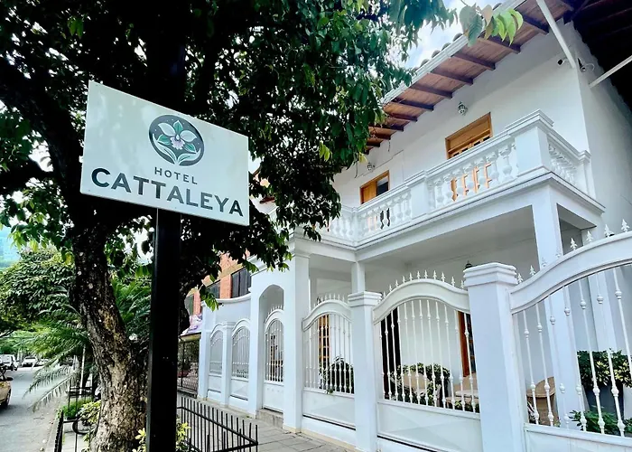 Hotel Cattaleya City