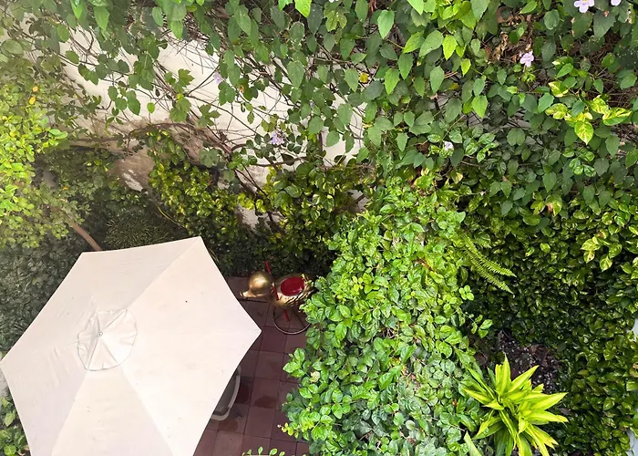 Hotel nahe College: Casa Bugambilia - Alma Hotels
